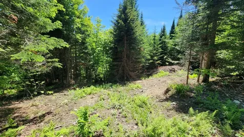 0 Route 242 Jay VT 05859