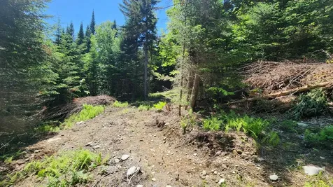 0 Route 242 Jay VT 05859