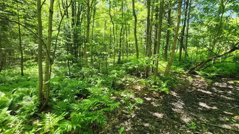 0 Route 242 Jay VT 05859