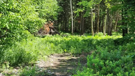 0 Route 242 Jay VT 05859