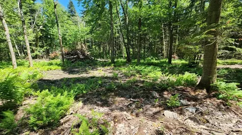 0 Route 242 Jay VT 05859