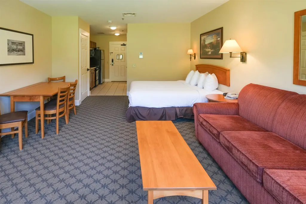 365 Q4 Jackson Gore Inn Road Ludlow VT 05149