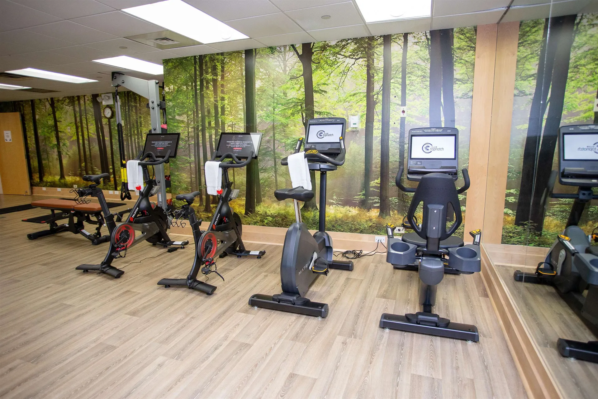 327 Topnotch Drive Stowe VT 05672