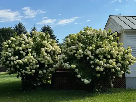 155 Upper Plain Bradford VT 05033