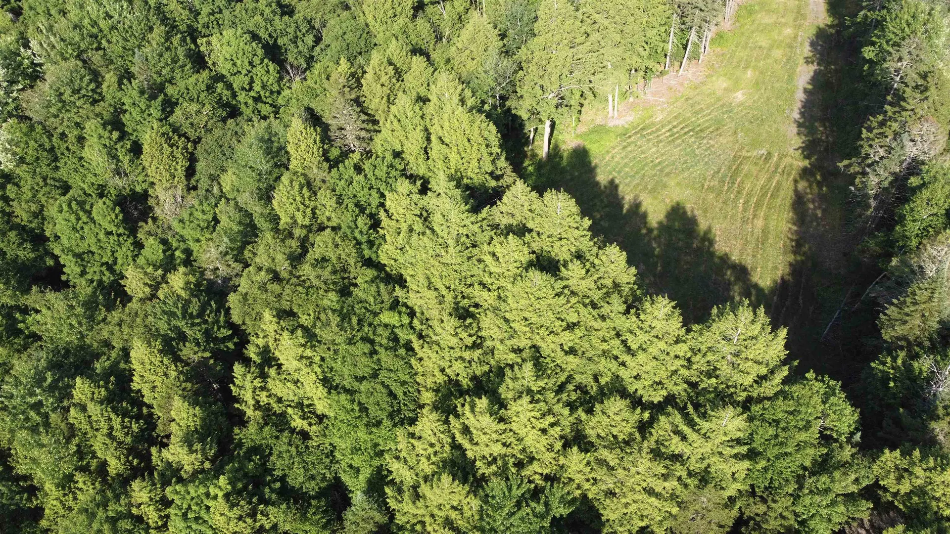 00 Guy's View Road Lyndon VT 05851