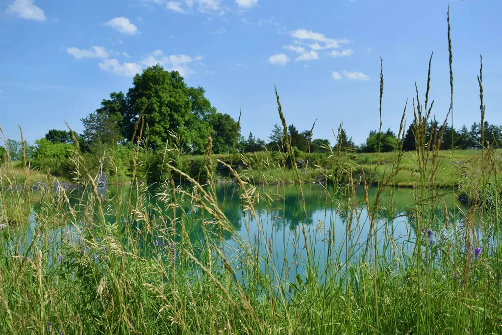 408 Webster Road Ferrisburgh VT 05491