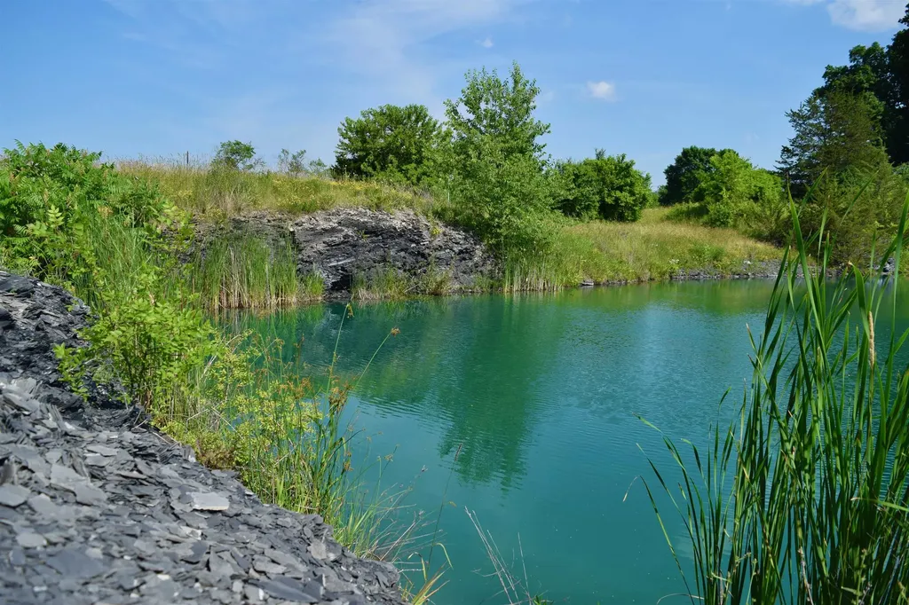 408 Webster Road Ferrisburgh VT 05491