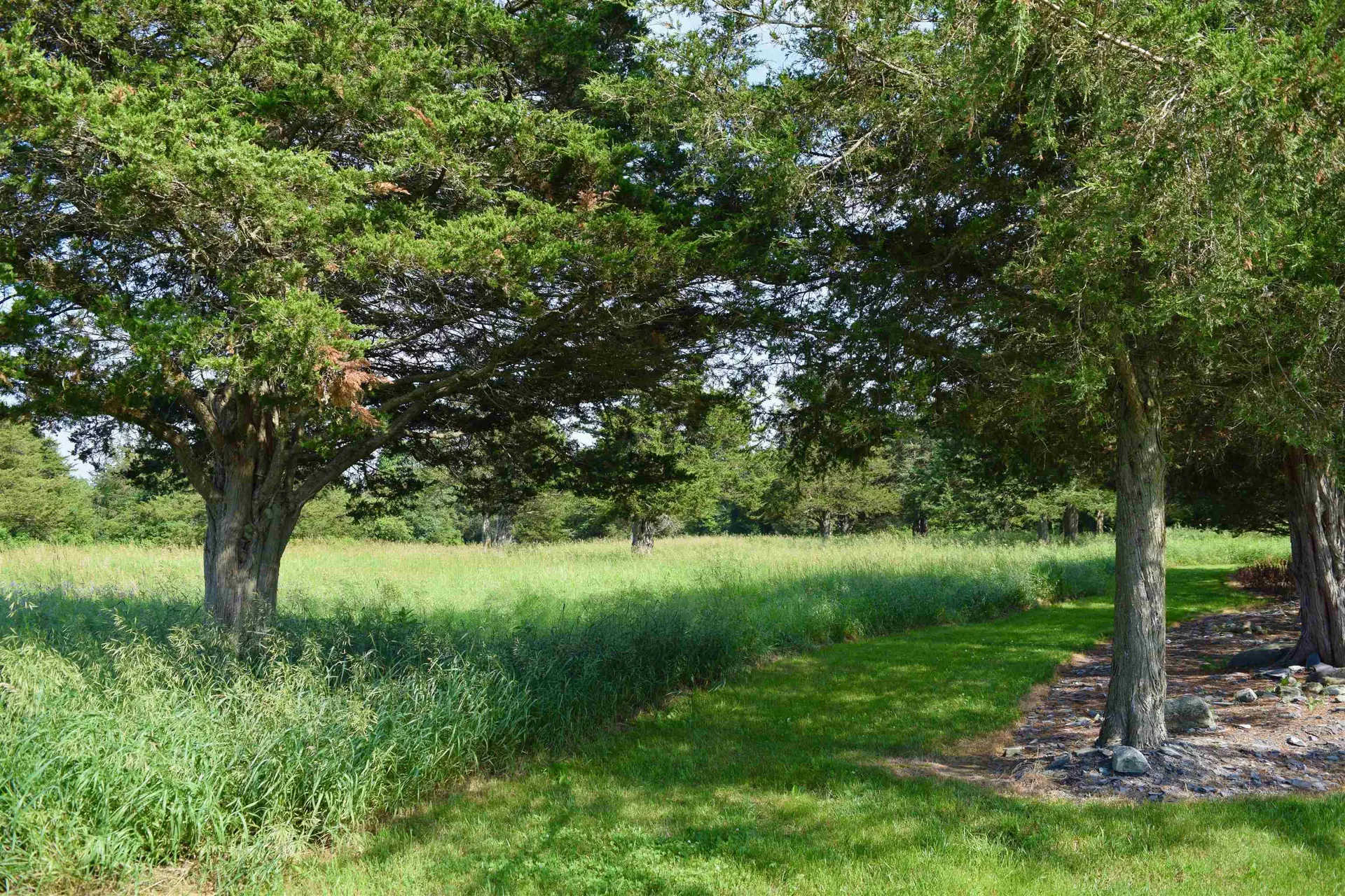 408 Webster Road Ferrisburgh VT 05491