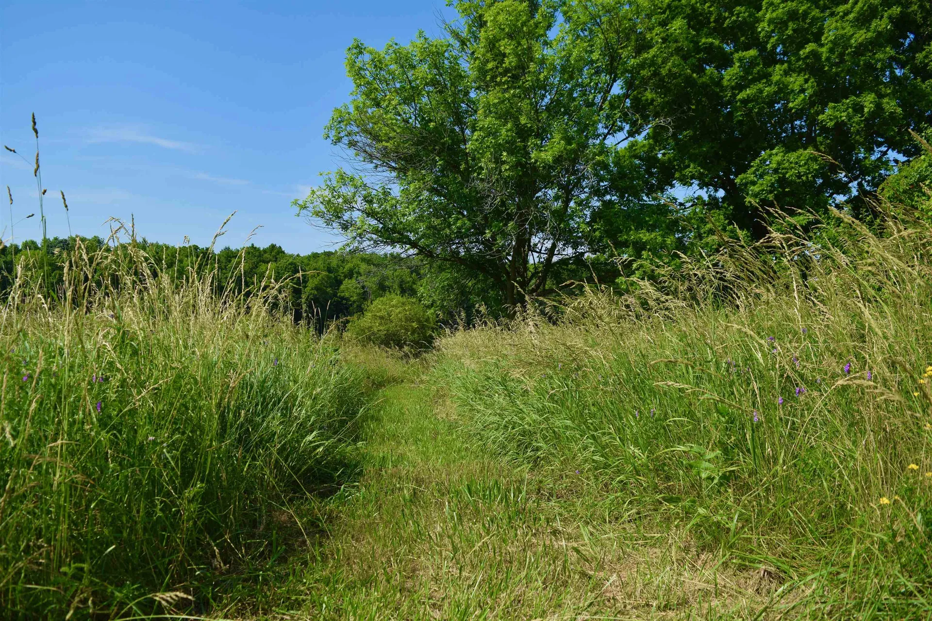 408 Webster Road Ferrisburgh VT 05491