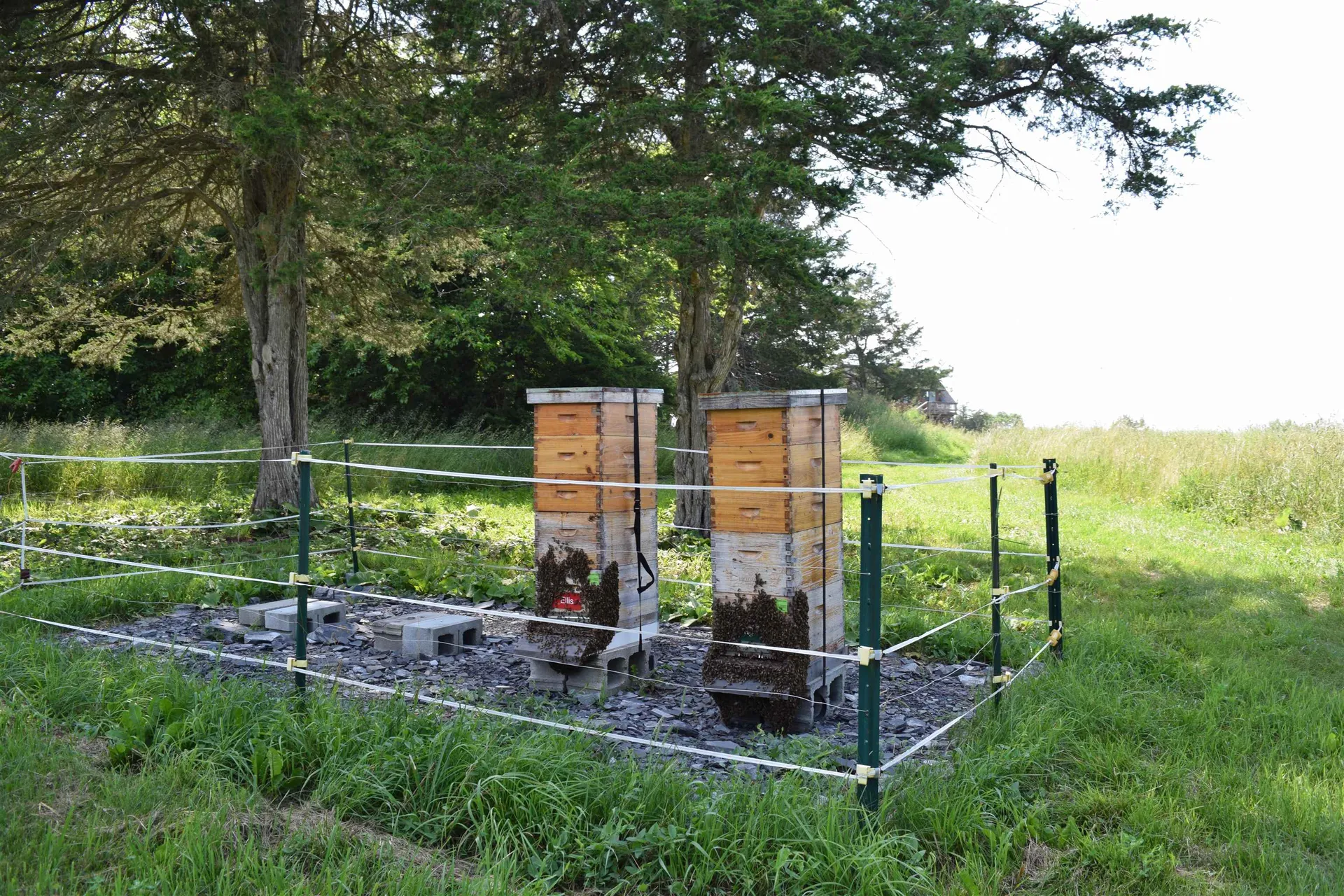 408 Webster Road Ferrisburgh VT 05491