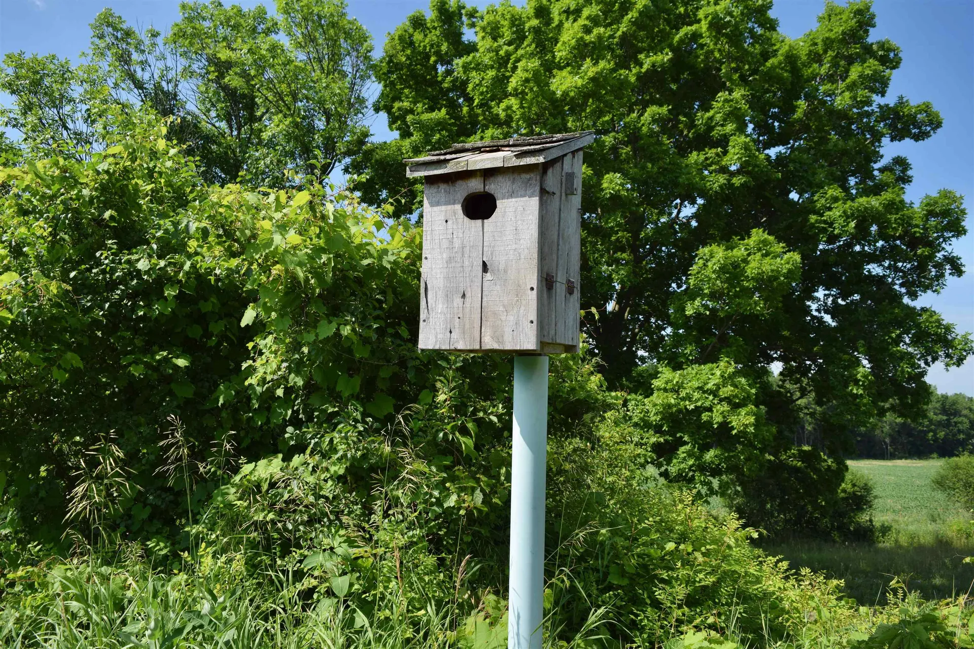 408 Webster Road Ferrisburgh VT 05491