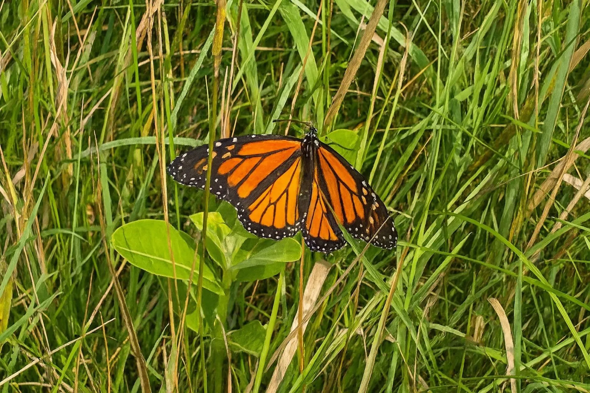 408 Webster Road Ferrisburgh VT 05491