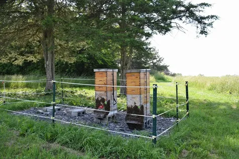 408 Webster Road Ferrisburgh VT 05491