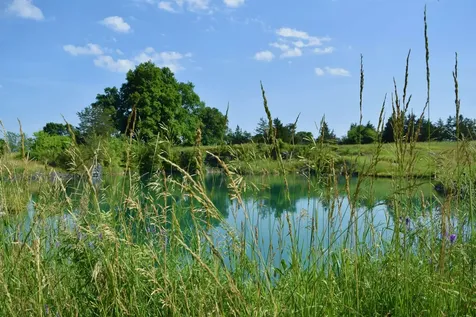 408 Webster Road Ferrisburgh VT 05491