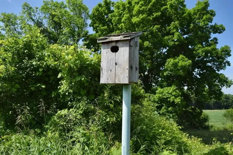 408 Webster Road Ferrisburgh VT 05491