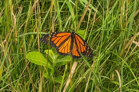 408 Webster Road Ferrisburgh VT 05491