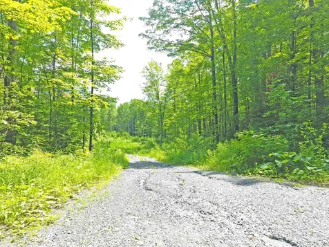 312 Old Cross Road Brookfield VT 05036