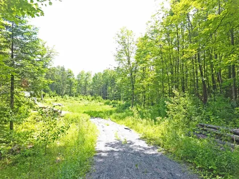 312 Old Cross Road Brookfield VT 05036