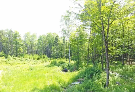 312 Old Cross Road Brookfield VT 05036