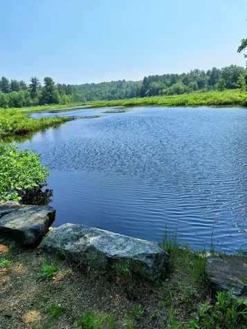15 Sargent Drive Raymond NH 03077