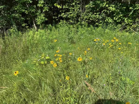 Tbd Holman Road Salisbury VT 05769