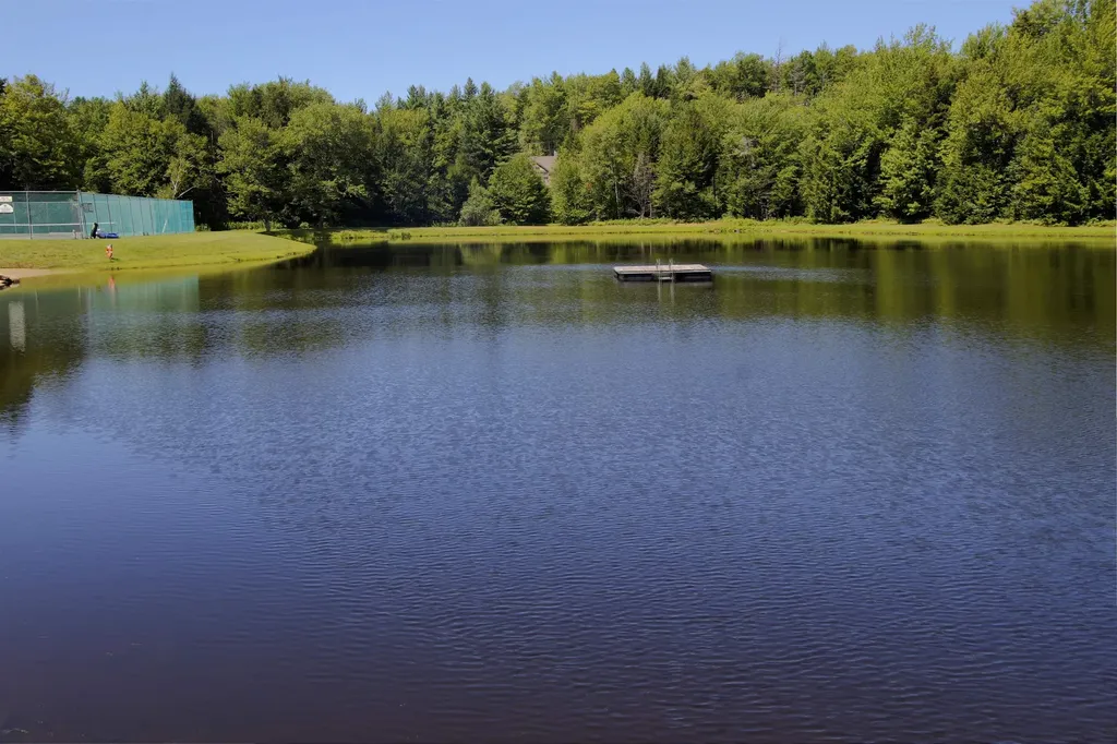 3 Strattonwald Road Winhall VT 05340