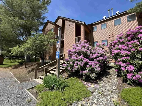 6f Deer Creek Road Dover VT 05356