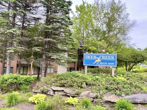 6f Deer Creek Road Dover VT 05356