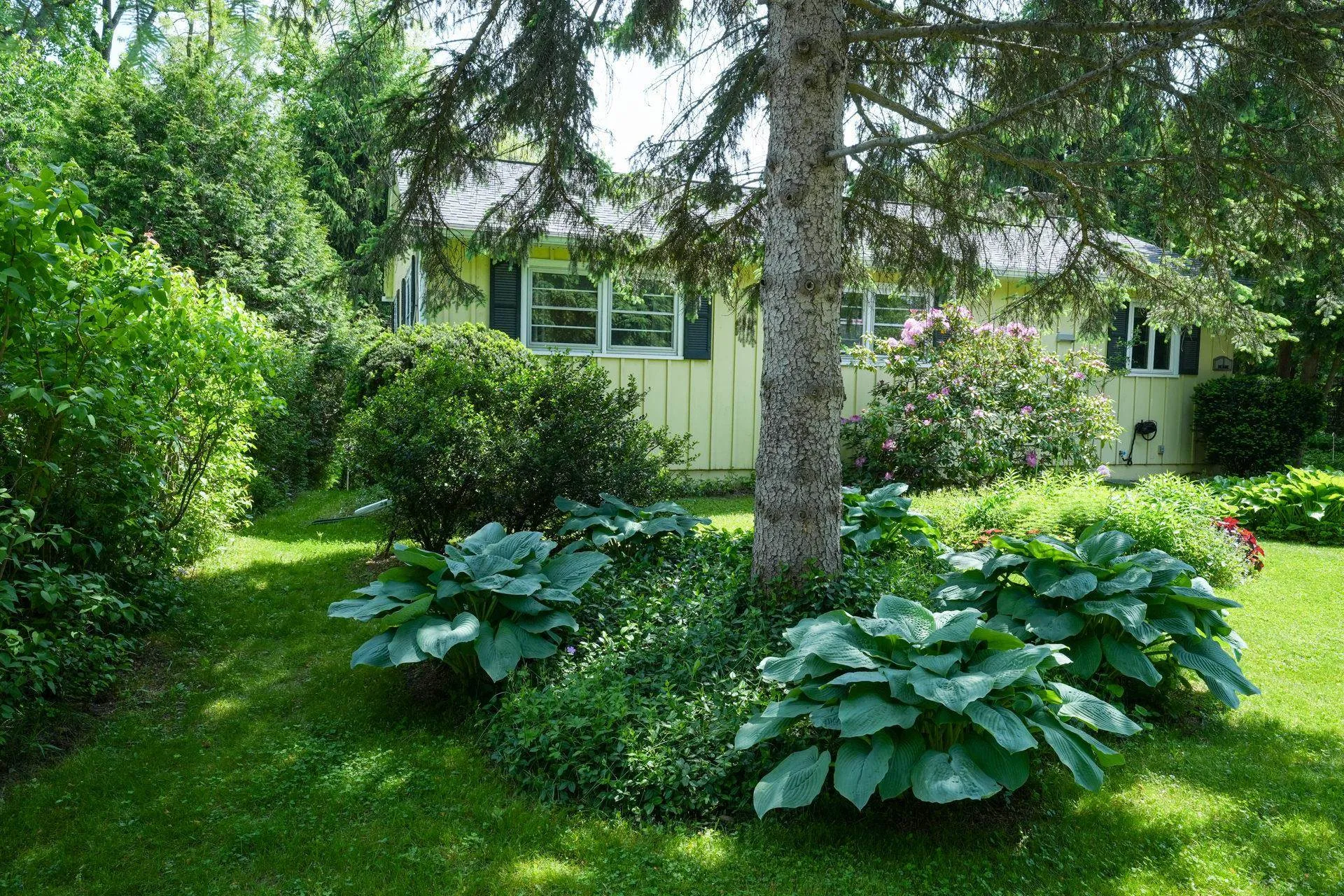 1 Deane Street South Burlington VT 05403