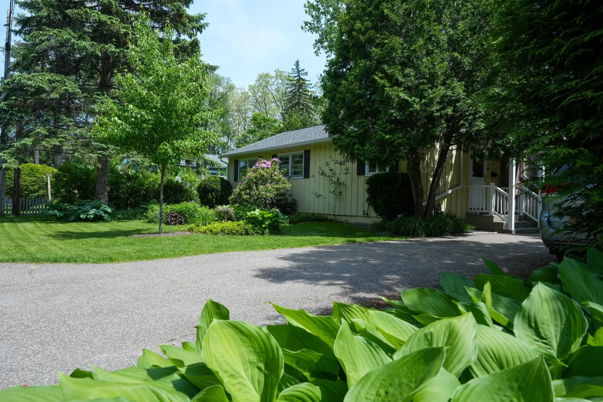 1 Deane Street South Burlington VT 05403