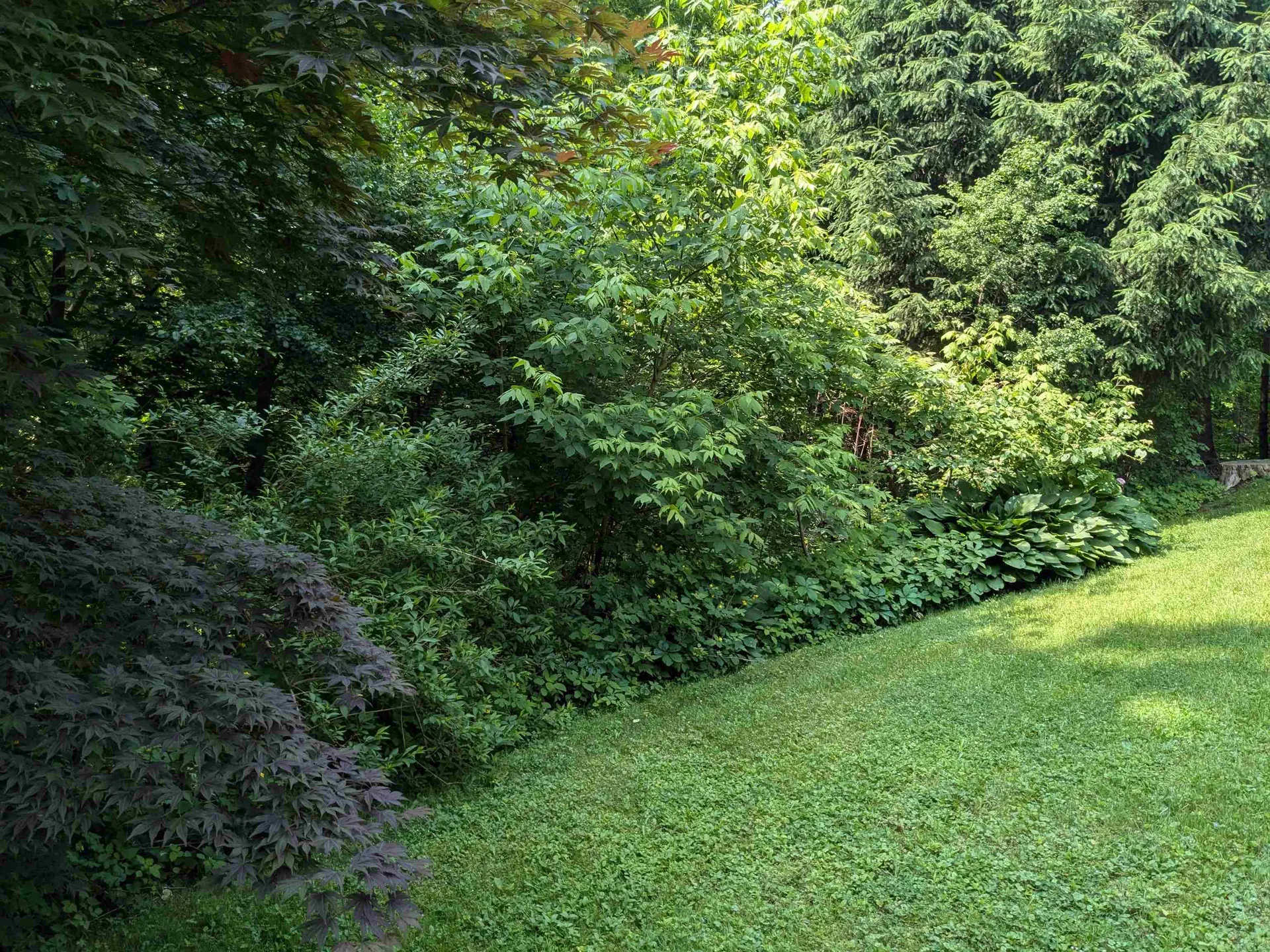 1 Deane Street South Burlington VT 05403