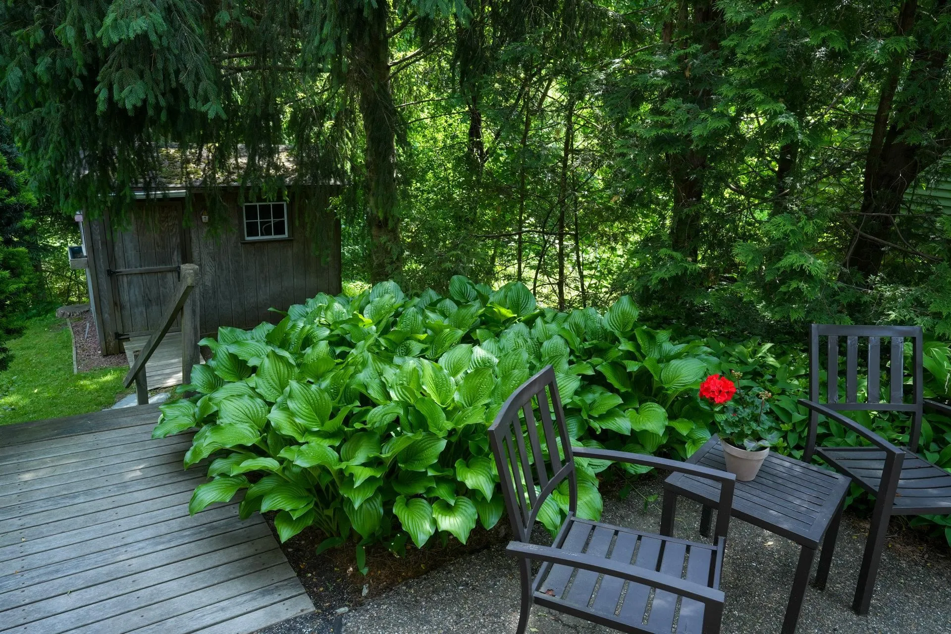 1 Deane Street South Burlington VT 05403