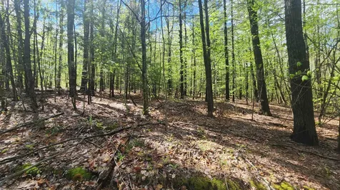 00 Monumnet Hill Road Springfield VT 05156
