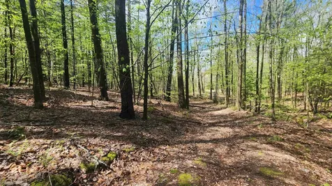00 Monumnet Hill Road Springfield VT 05156