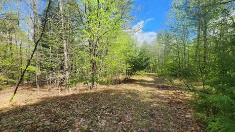 00 Monumnet Hill Road Springfield VT 05156