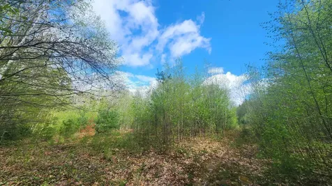00 Monumnet Hill Road Springfield VT 05156