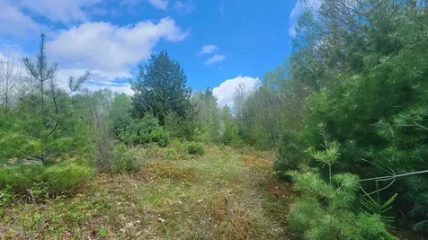 00 Monumnet Hill Road Springfield VT 05156