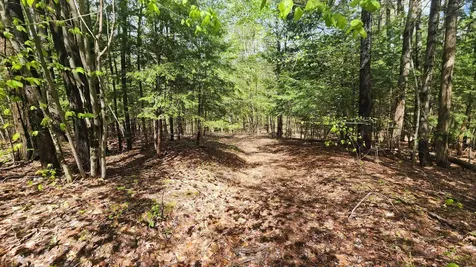 00 Monumnet Hill Road Springfield VT 05156