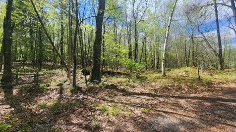 00 Monumnet Hill Road Springfield VT 05156