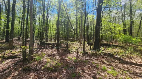 00 Monumnet Hill Road Springfield VT 05156