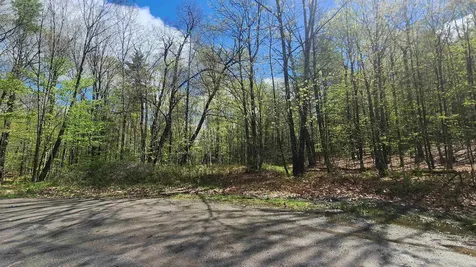00 Monumnet Hill Road Springfield VT 05156