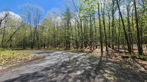 00 Monumnet Hill Road Springfield VT 05156