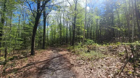 00 Monumnet Hill Road Springfield VT 05156