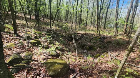 00 Monumnet Hill Road Springfield VT 05156