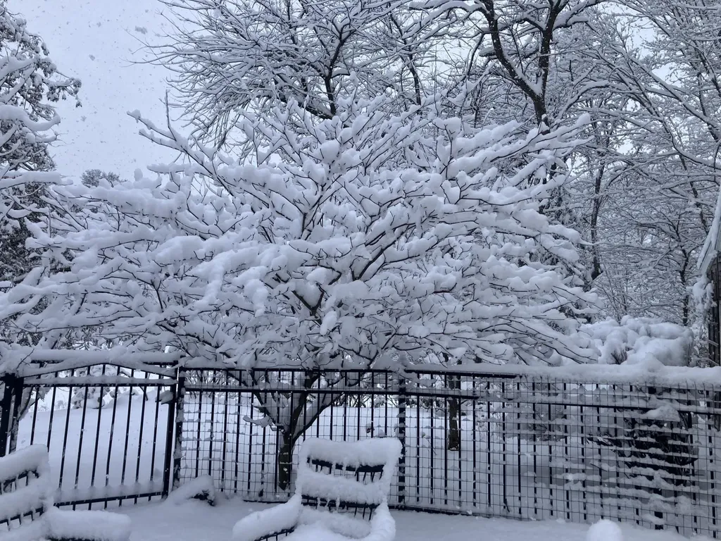 85 College Road Stratham NH 03885