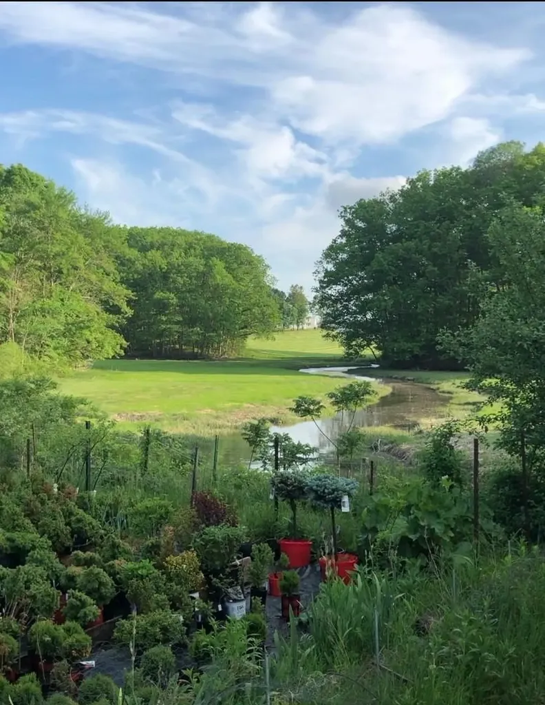 85 College Road Stratham NH 03885