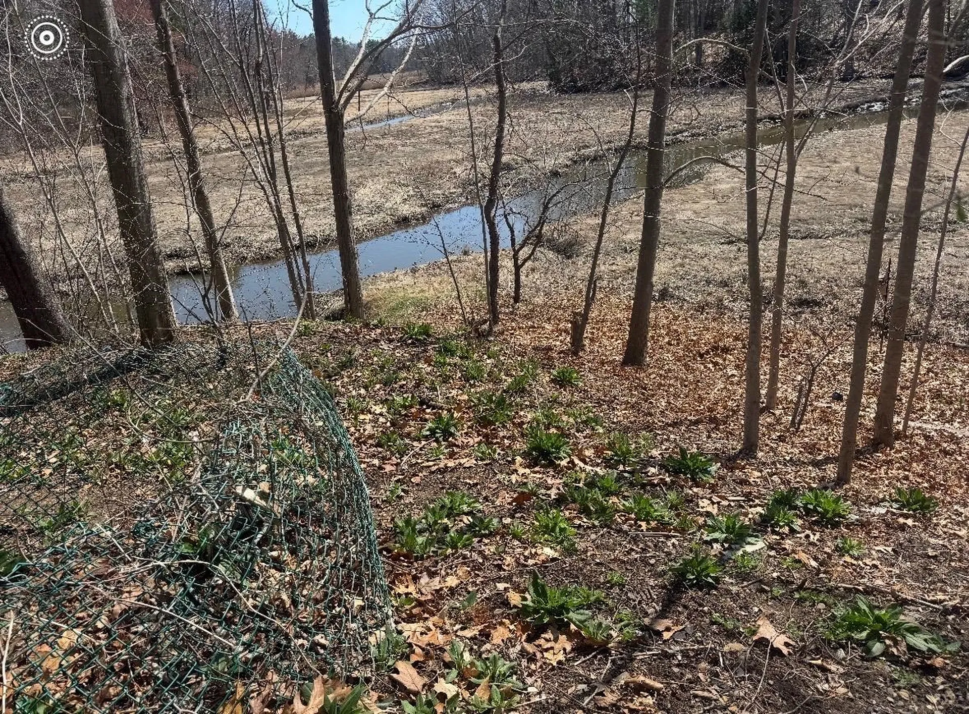 85 College Road Stratham NH 03885