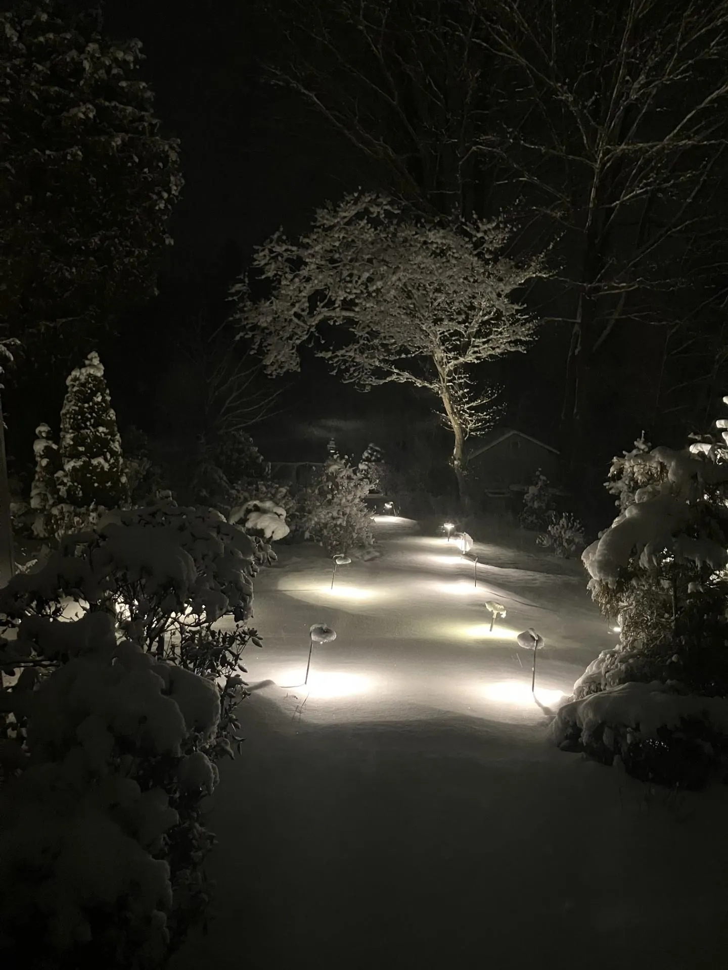 85 College Road Stratham NH 03885