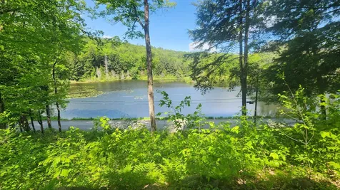 373 Brookline Road Athens VT 05143