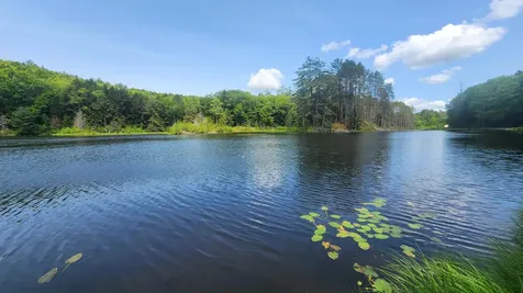 373 Brookline Road Athens VT 05143